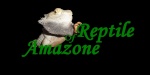 reptile-of-amazone