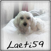 Laeti59