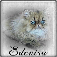 edenisa