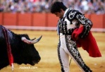 matador1