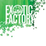 exotic factory1