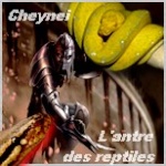 cheynei1111