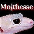 molthesse11