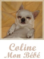 Coline1111