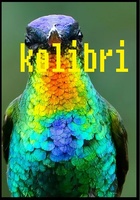 kolibri1