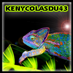 kenycolasdu43