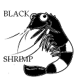 blackshrimp1