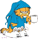 Garfield / Ally