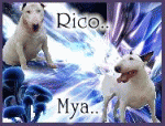 Mya/rico