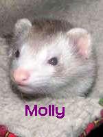 Molly01