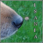 Isania