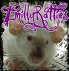 EmillyRatties