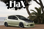 FlaX1