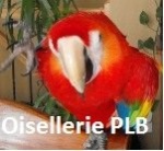 oiselleriePLB