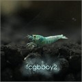 fcgbboy211