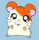 hamtaro111