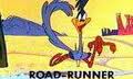 roadrunner111