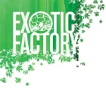 Exotic Factory11