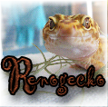 RenogeckoOo