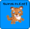 SupaLolCat