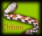 Chtimi1