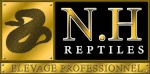 NH reptiles1