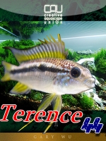 terence44111