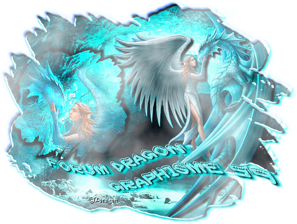 Hiver Dragon Graphisme 59