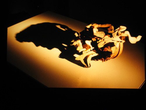بالصور معرض فني مدهش منحوتاته من الضلال فقط  Amazing-light-sculptures-diet-wiegman-shadows-27
