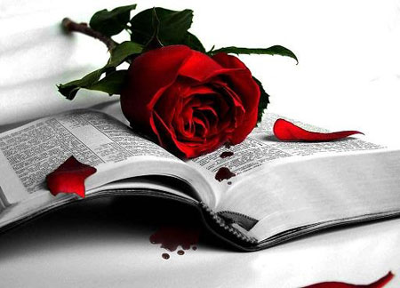 اكتبيني في كتاب الحب Rose-Book_1244437187