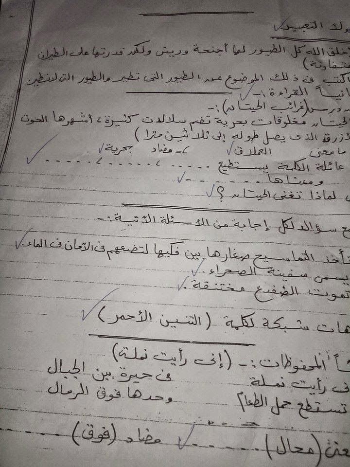 امتحانات محافظة الجيزة - امتحان الميد ترم لغة عربية الصف الرابع الابتدائي - الترم الثانى %D8%A7%D9%85%D8%AA%D8%AD%D8%A7%D9%86%2B%D9%81%D9%89%2B%D8%A7%D9%84%D9%84%D8%BA%D8%A9%2B%D8%A7%D9%84%D8%B9%D8%B1%D8%A8%D9%8A%D8%A9%2B%D8%A8%D8%A7%D9%84%D9%82%D8%B1%D8%A7%D8%A6%D9%8A%D8%A9%2B%D9%84%D9%84%D8%B5%D9%81%2B%D8%A7%D9%84%D8%B1%D8%A7%D8%A8%D8%B9%2B%D8%A7%D9%84%D8%A7%D8%A8%D8%AA%D8%AF%D8%A7%D8%A6%D9%891