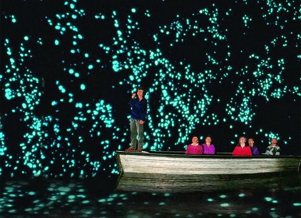 WAITOMO GLOWWORM CAVES, Wondrous cave in New Zealand radiates natural lights Waitomo-Glowworm-6