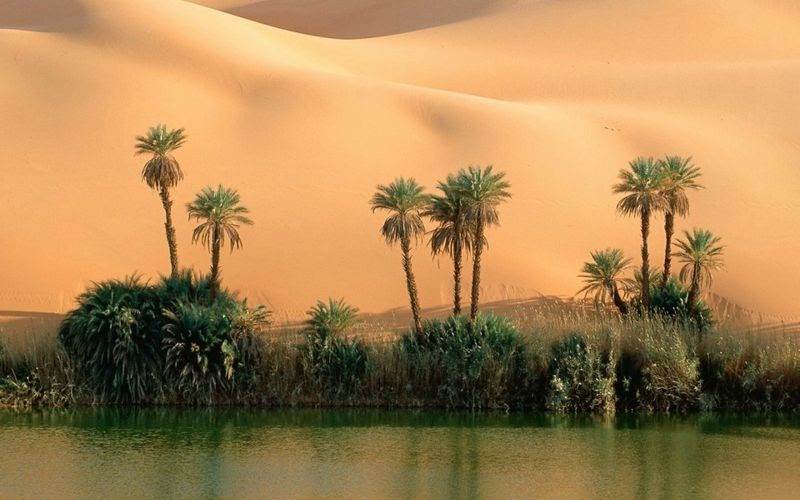 15 Amazing Photos Of The Desert  Pustinya-0005