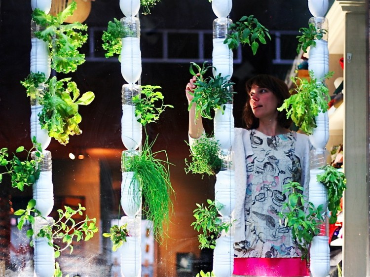 Le micro-jardin BrooklynStorefront