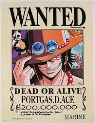 Tổng Hợp Các Lệnh Truy Nã (Bounty) Hải Tặc Trong One Piece D