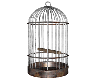 دمج احترافي / تصميم هيدر فتوشوب Bird_cage_side_shot_of_many_by_madetobeunique-d3arfdq