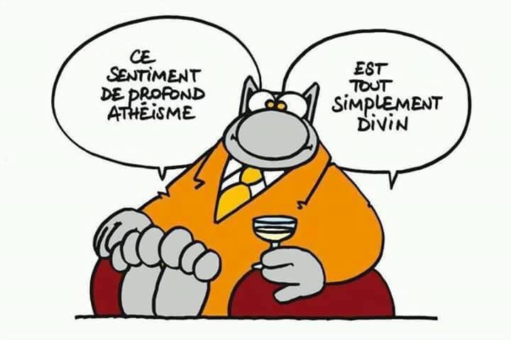 politique - Politique - Page 6 Ce%2Bsentiment%2Bde%2Bprofond%2Bath%25C3%25A9isme%2BLe%2BChat