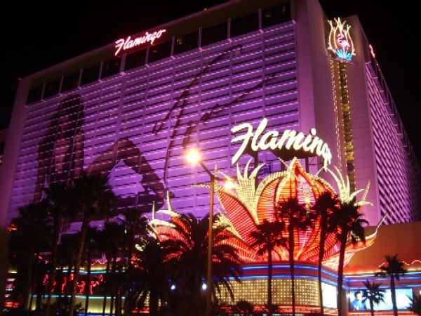 Najskuplje ,neobične ,čudne hotelske sobe i hoteli  - Page 2 Flamingo-Las-Vegas
