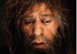 Néandertal condamné par le changement climatique ?  Homme_de_n%25C3%25A9anderthal