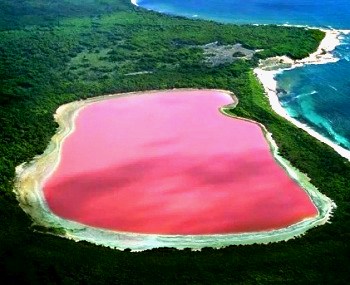 El lago rosa Lago-rosa-australia