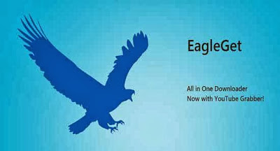 تحميل برنامج EagleGet لتحميل الملفات من الانترنت بسرعة كبيرة Eagleget