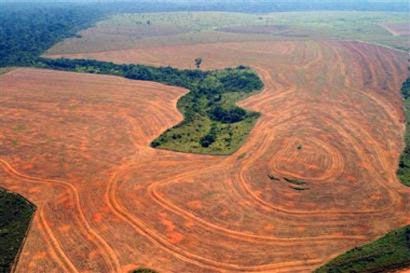 Amazonie: la déforestation a quintuplé en octobre au Brésil, + 450 % Deforestationamazonie