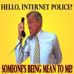 Picture of NLSP Hello-internet-police-1784_preview