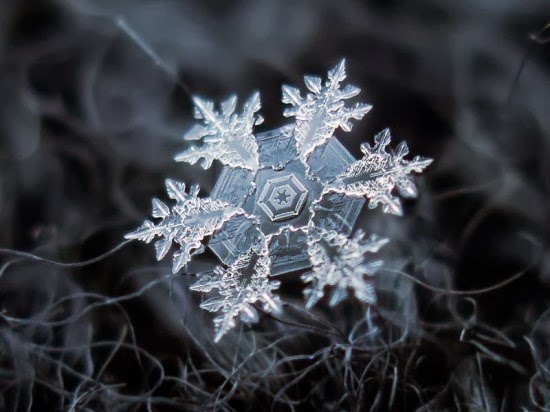 مصور روسي يكشف عن جمال فريد لرقاقات الثلج  Snowflake-closeup7-550x412