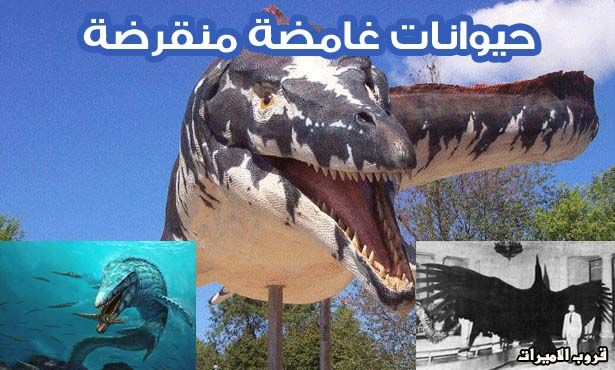 5 مخلوقات لم يعرف العلماء أسباب انقراضها 1