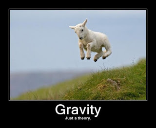 Gravity Does Not Exist! Lamb_gravity