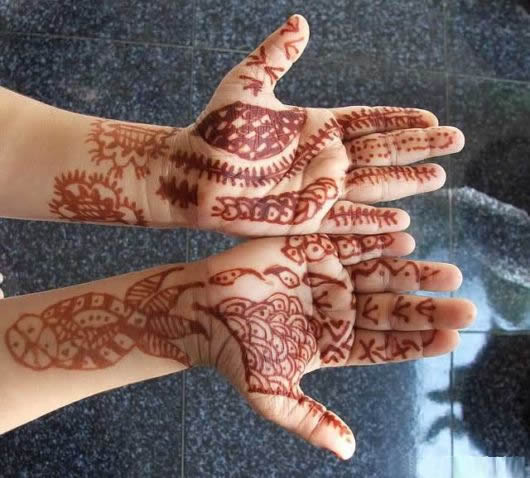 نقوش الحناء الهنديه -ثقافه  Charming_mehndi_designs_16