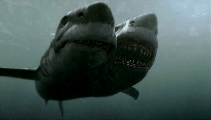 Cá Mập Hai Đầu Vietsub - 2 Headed Shark Attack (2012) Vietsub Camaphaidau