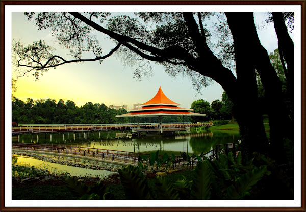 சிங்கப்பூர் பறவைகள் பூங்கா புகைப்படங்கள் -(BIRD PARK SINGAPORE) IMG_32161