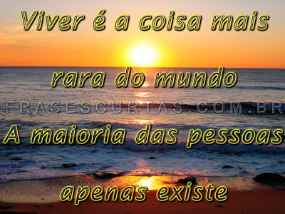 FRASES E PENSAMENTOS..... - Página 29 Felicidade-saber-viver